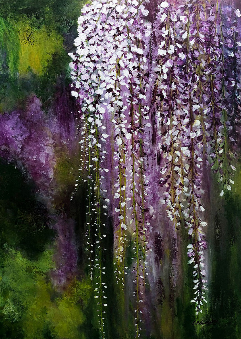 Hanging Wisteria